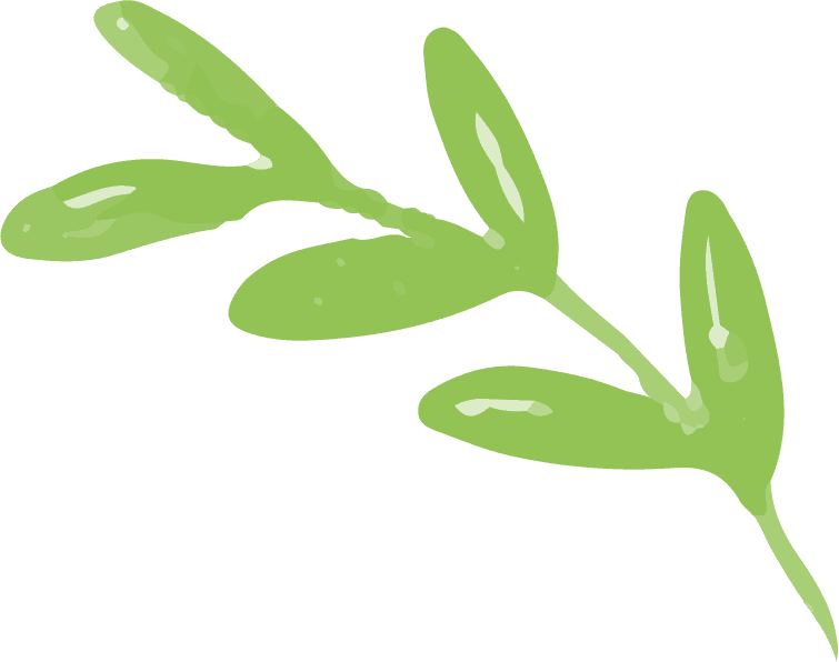 About leaves free img