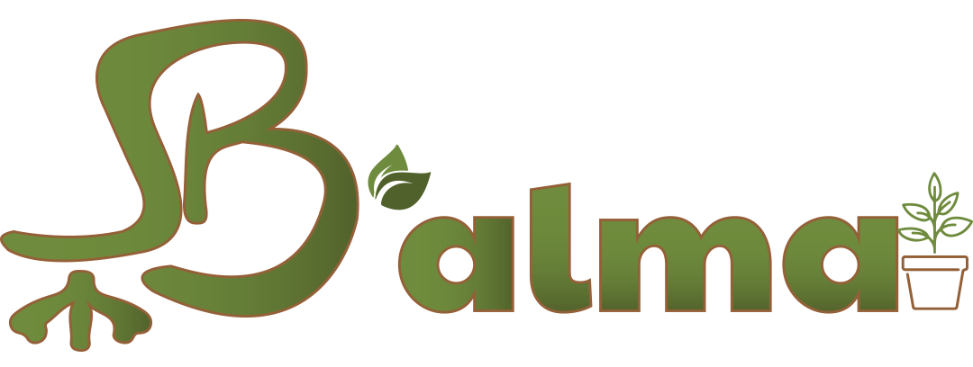 logo corto